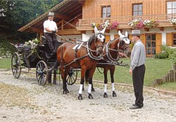 Kutschfahrten