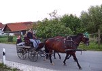 Bild vergr��ern