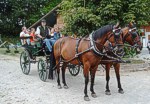 Bild vergr��ern