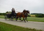 Bild vergr��ern