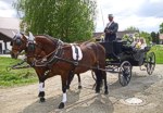 Bild vergr��ern