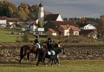 Bild vergr��ern