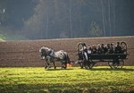 Bild vergr��ern