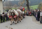 Bild vergr��ern