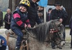 Bild vergr��ern
