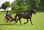 Bild vergr��ern