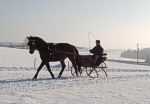 Bild vergr��ern