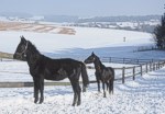 Bild vergr��ern