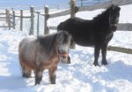 Bild vergr��ern
