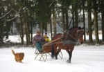 Bild vergr��ern