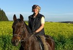 Bild vergr��ern